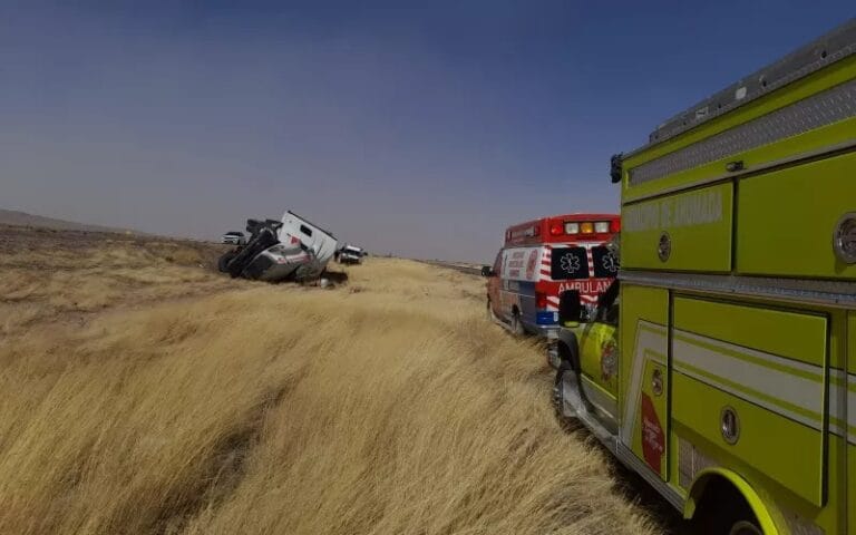 WhatsApp Image 2023-03-30 at 10.54.38 AM (1)