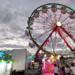 62ba73895fab6__62ba73895faba (1)