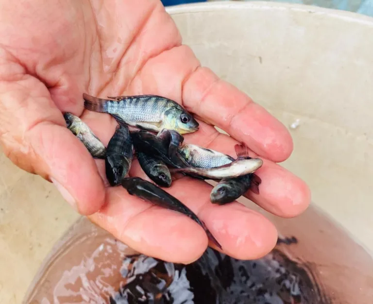 WhatsApp Image 2023-08-14 at 7.09.04 PM (1)