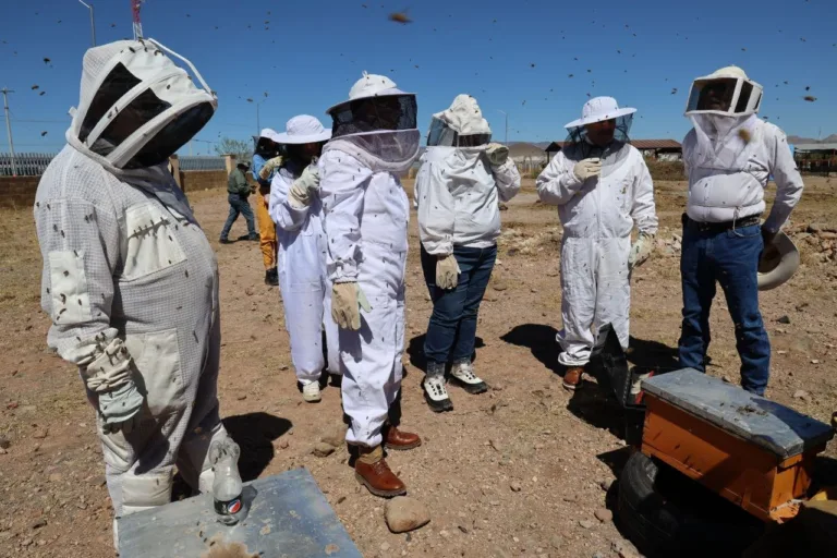 Imagen de WhatsApp 2024-05-24 a las 12.28.19_bf9ed448