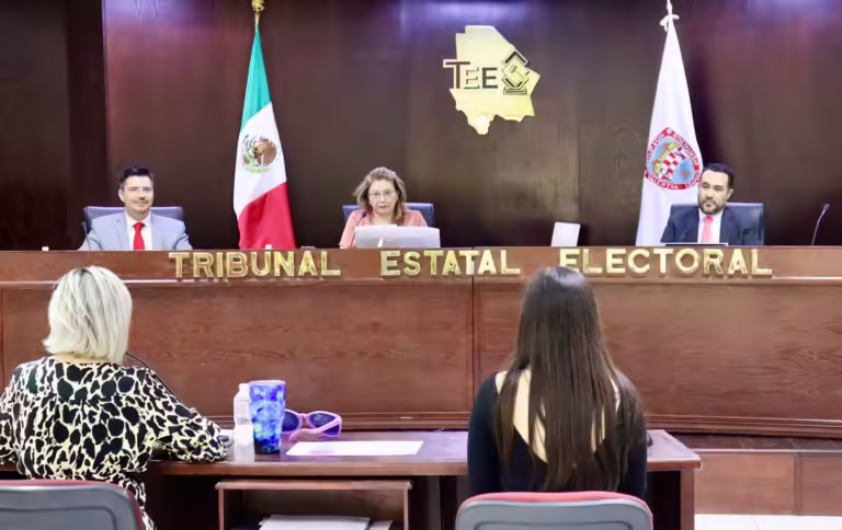 tee chihuahua archivo1