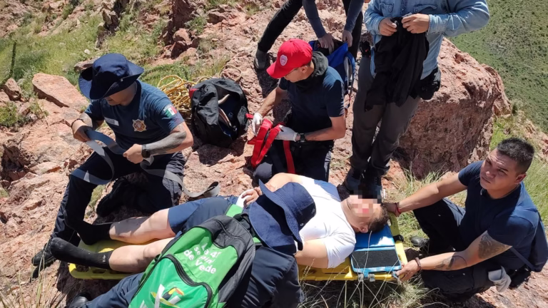 Imagen de WhatsApp 2025-08-31 a las 16.00.56_9e3dd68c