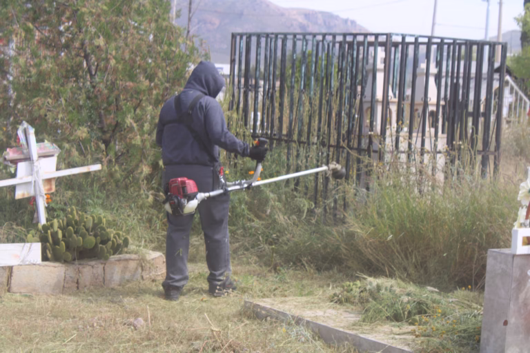 WhatsApp Image 2025-10-09 at 10.16.42 AM