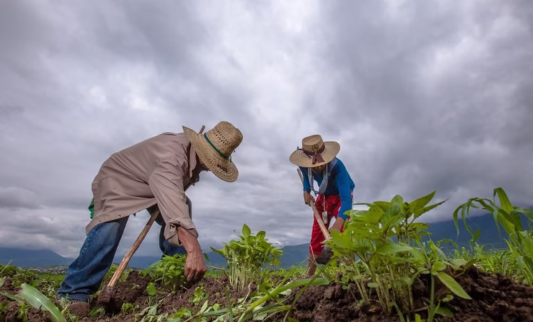 Campo-mexicano-economia-agricultura-campesinos-sembrar-siembra-paisaje-con-nuubes-lluvia-FOTO-SADER-200730-AGRICULTURA-INIFAP-FRIJOL-8-1160x700-1-1024x618