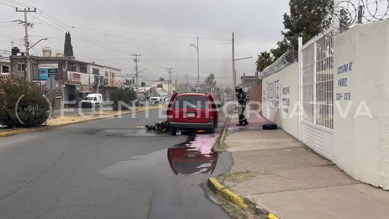 Diseño sin título_20260207_133530_0000