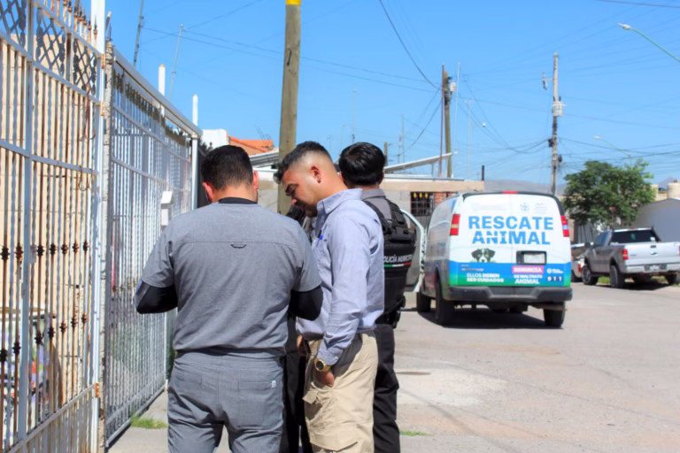 WhatsApp Image 2026-02-10 at 2.08.50 PM