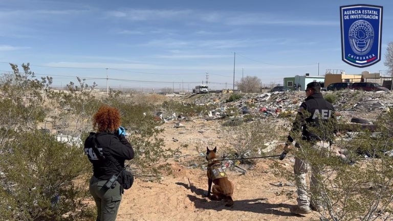 WhatsApp Image 2026-02-19 at 8.26.12 PM